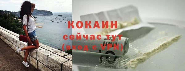 молекула духа Осинники