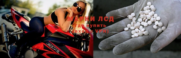 молекула духа Осинники