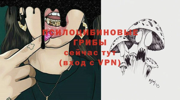 молекула духа Осинники