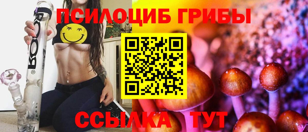 Псилоцибиновые грибы MAGIC MUSHROOMS  Галлюциногенные грибы Cubensis  Асино 