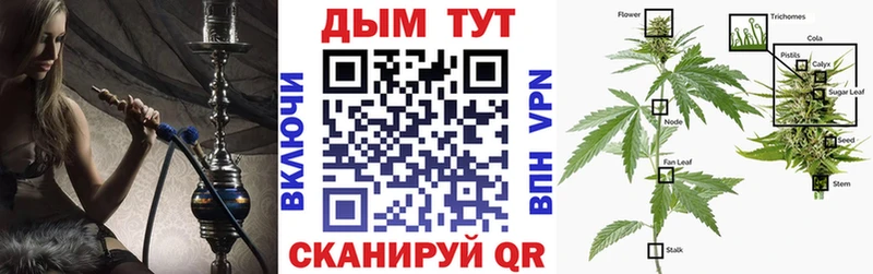 закладка  omg ONION  Канабис конопля  Асино 